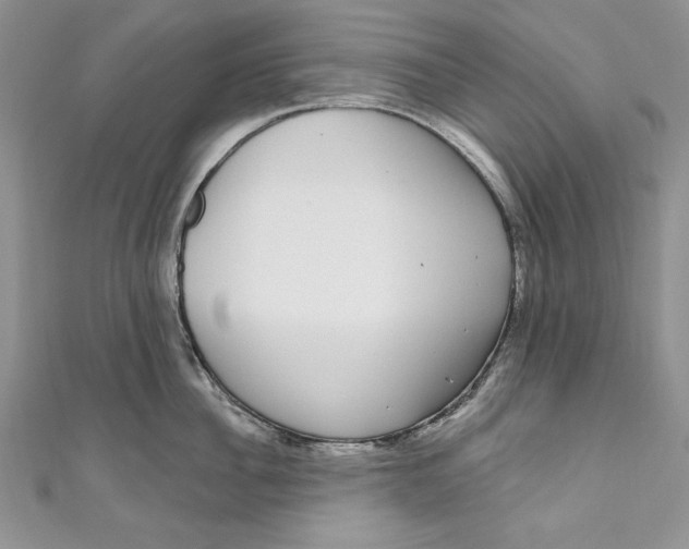 X0000111050956200907161403