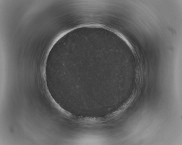 X0000111050959200907161403