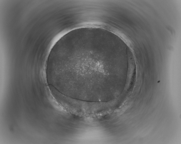 X0000111050960200907161403