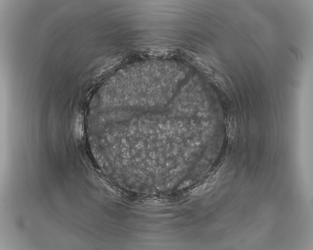 X0000111050962200907161402