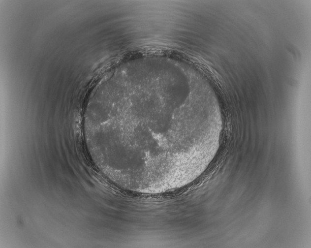 X0000111050964200907161402