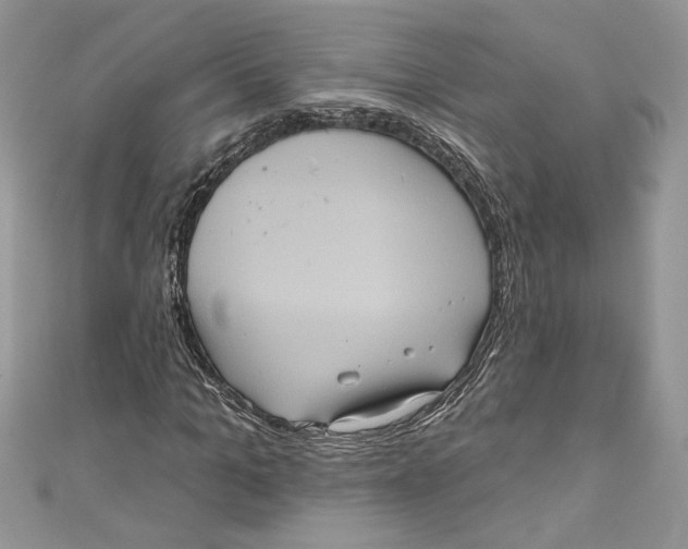 X0000111050965200907161402