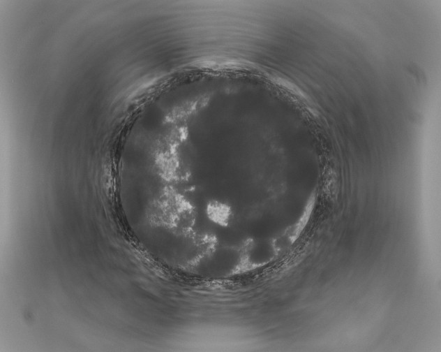 X0000111050966200907161402