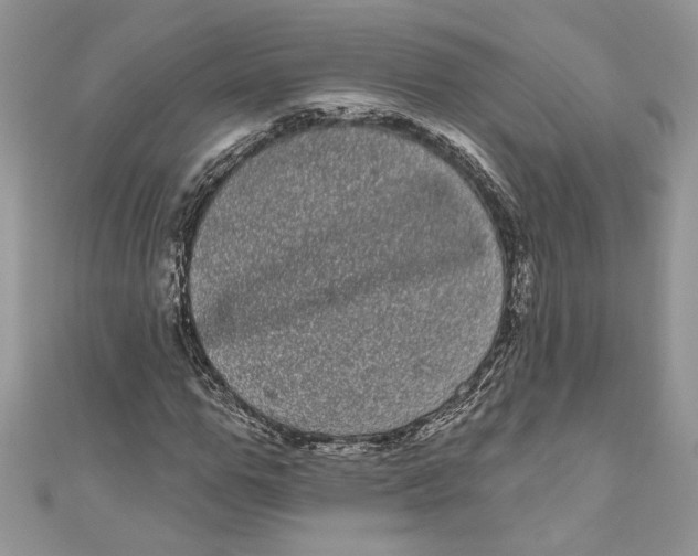 X0000111050967200907161402