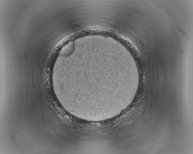 X0000111050968200907161402