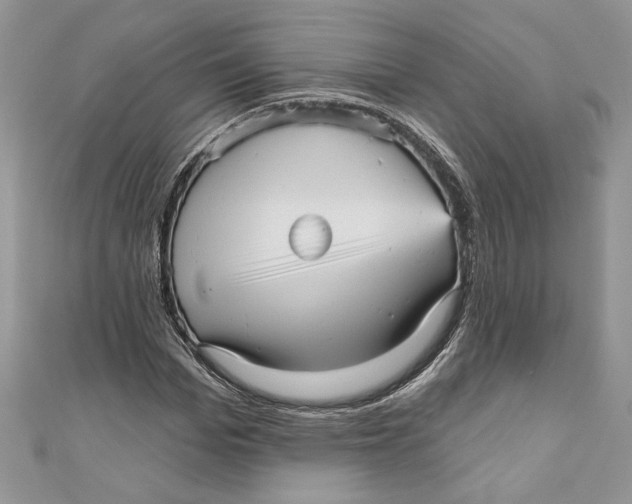 X0000111050969200907161402