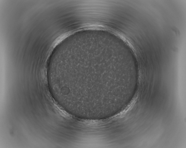 X0000111050970200907161402