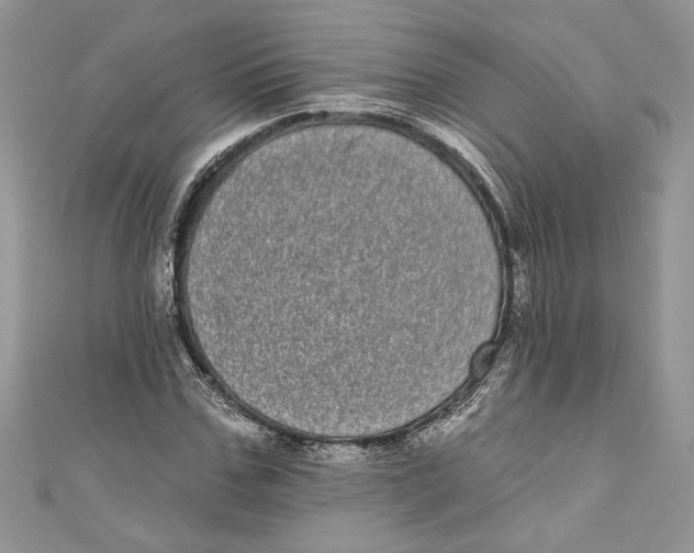 X0000111050971200907161402