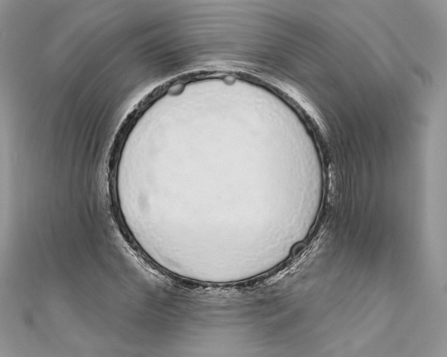 X0000111050972200907161402