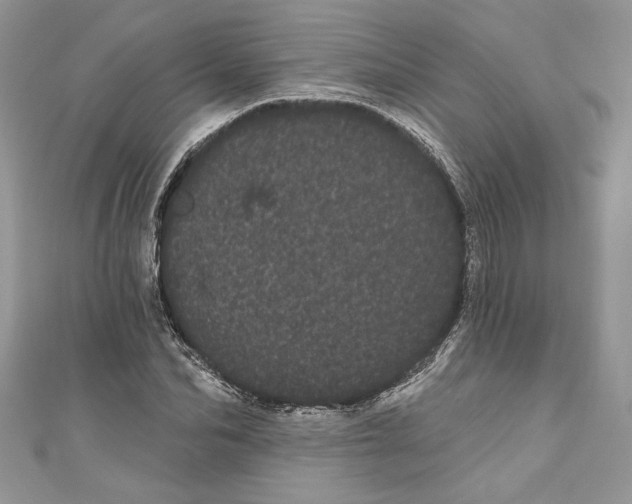 X0000111050974200907161402