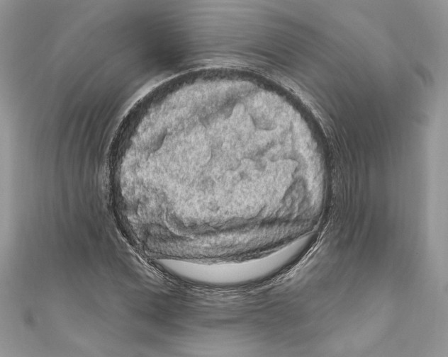 X0000111050975200907161402