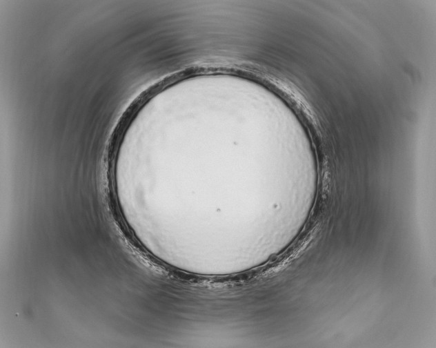 X0000111050976200907161402