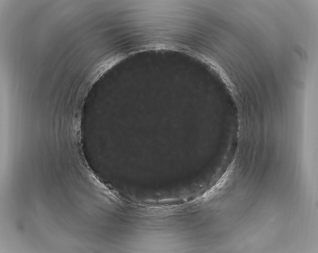 X0000111050977200907161402