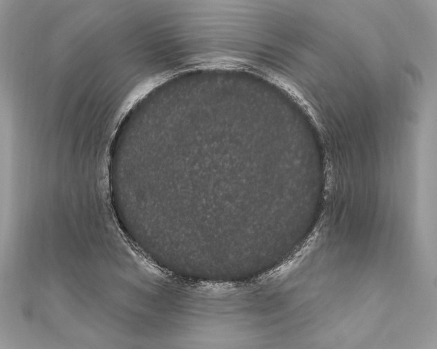 X0000111050978200907161402