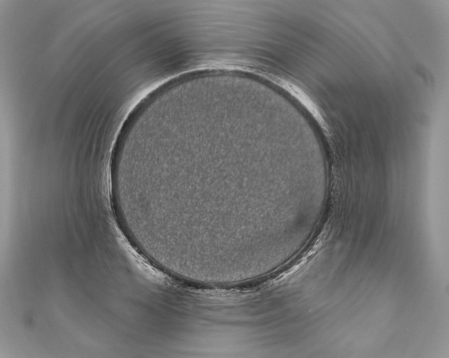 X0000111050980200907161402