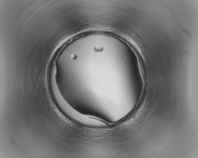 X0000111050981200907161402