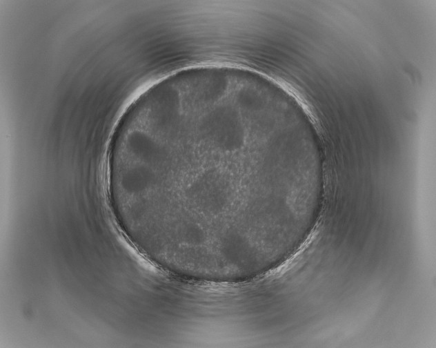 X0000111050982200907161402