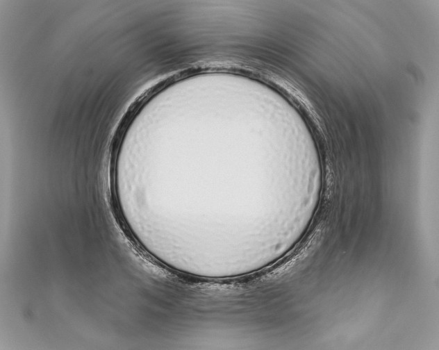 X0000111050984200907161402