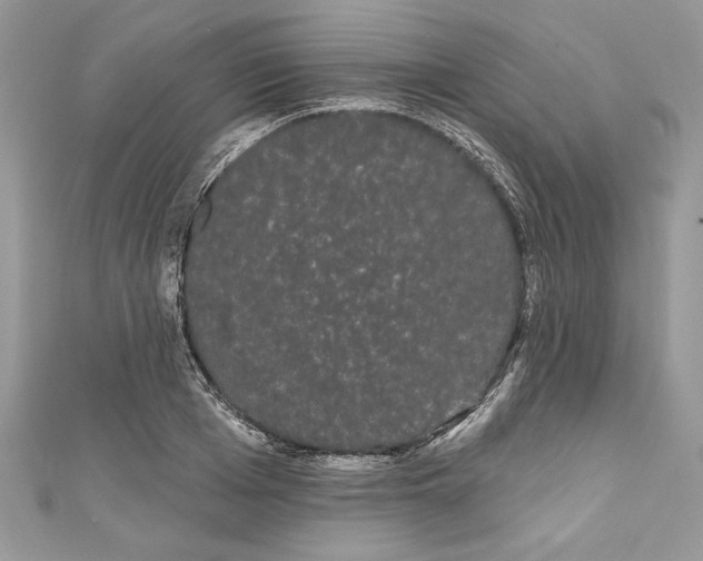 X0000111050985200907161402