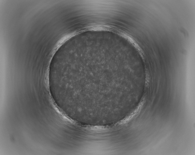 X0000111050986200907161402