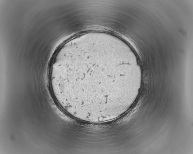 X0000111050987200907161402