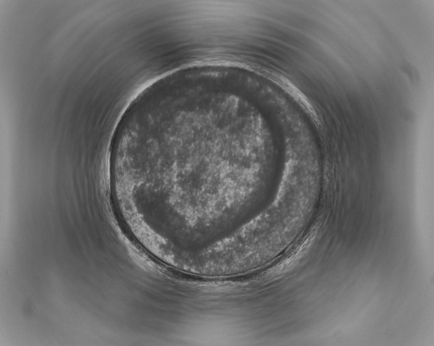 X0000111050988200907161402