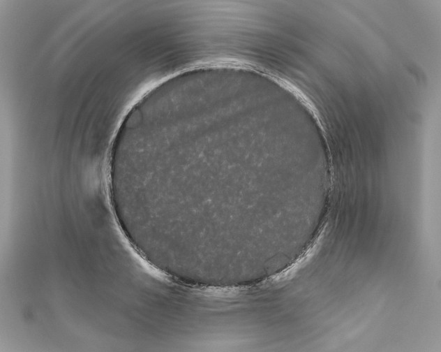 X0000111050989200907161401