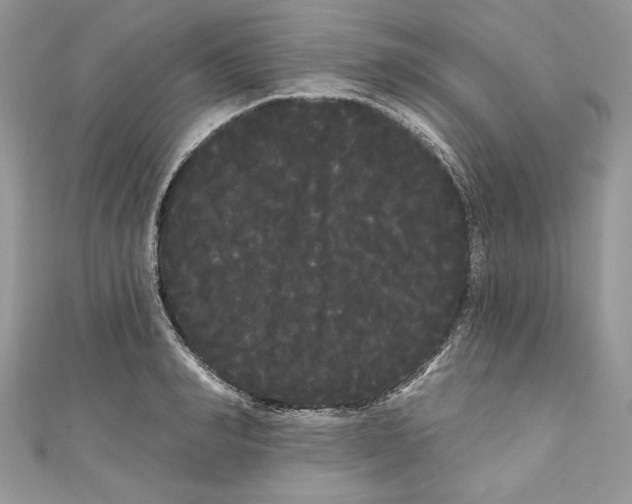 X0000111050990200907161401