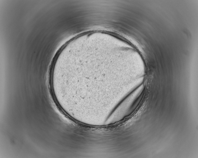 X0000111050991200907161401