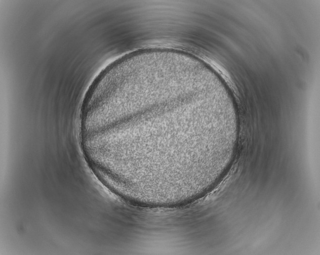 X0000111050992200907161401