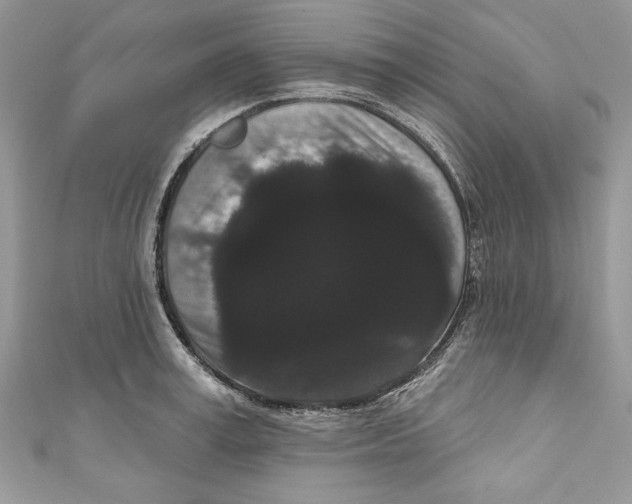 X0000111050995200907161401