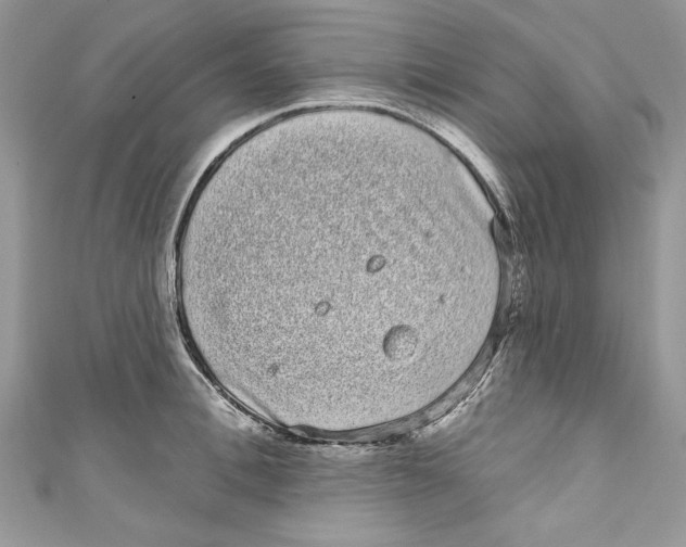 X0000111050996200907161401