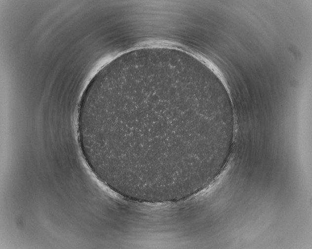 X0000111050997200907161401