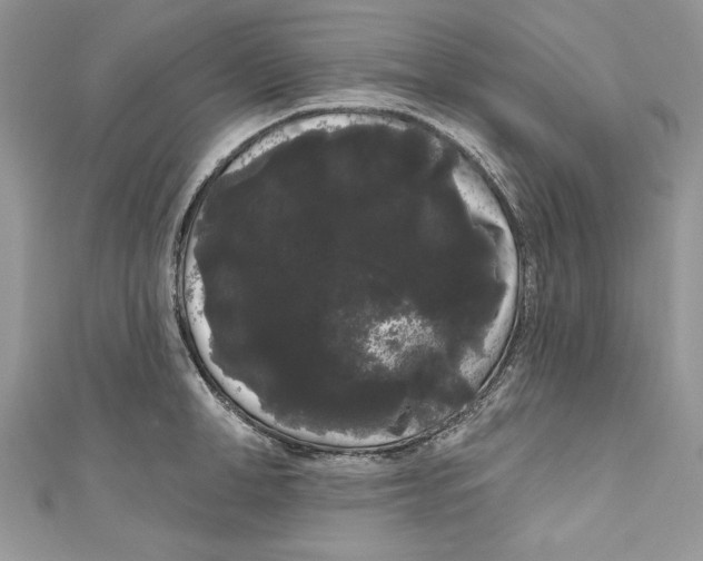 X0000111050998200907161401