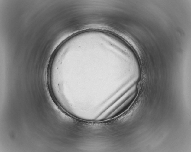 X0000111050999200907161401