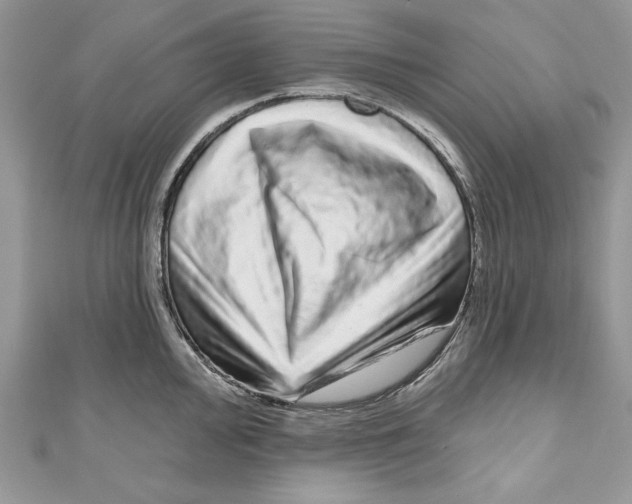 X0000111051000200907161401