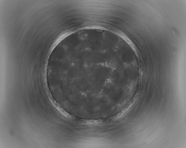 X0000111051002200907161401