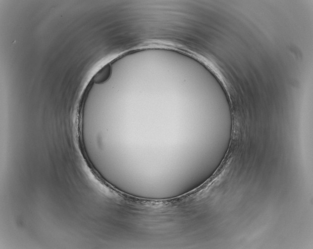 X0000111051003200907161401