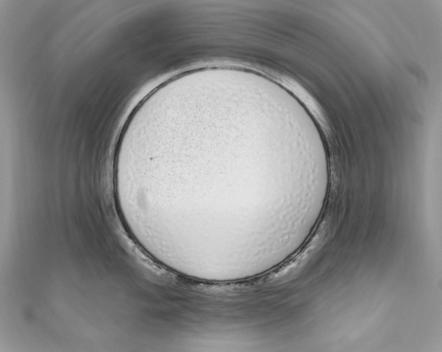 X0000111051004200907161401