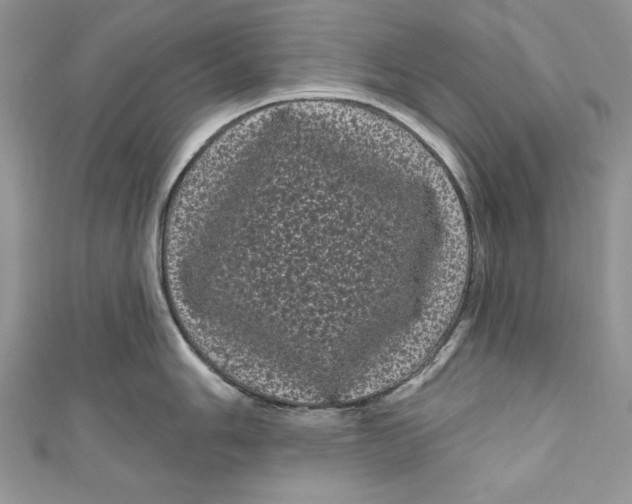 X0000111051006200907161401