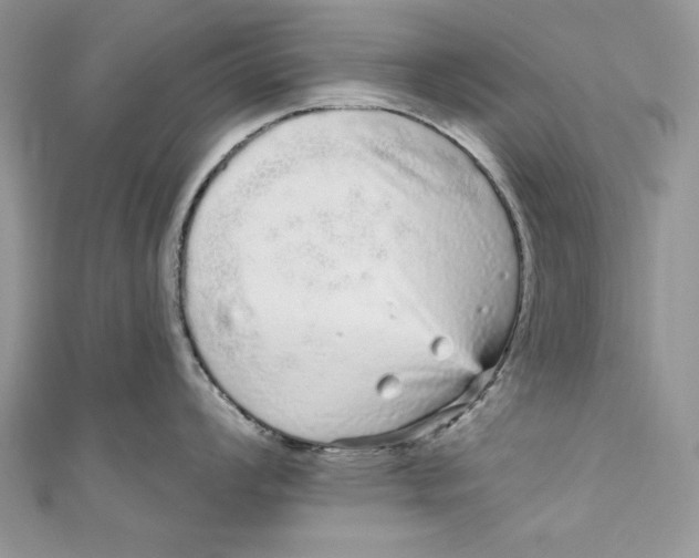 X0000111051008200907161401