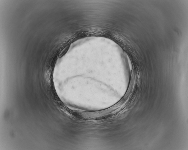 X0000111051010200907161401