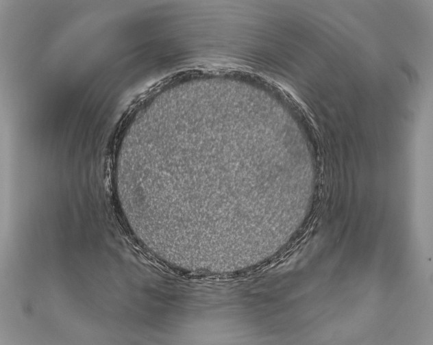 X0000111051016200907161401