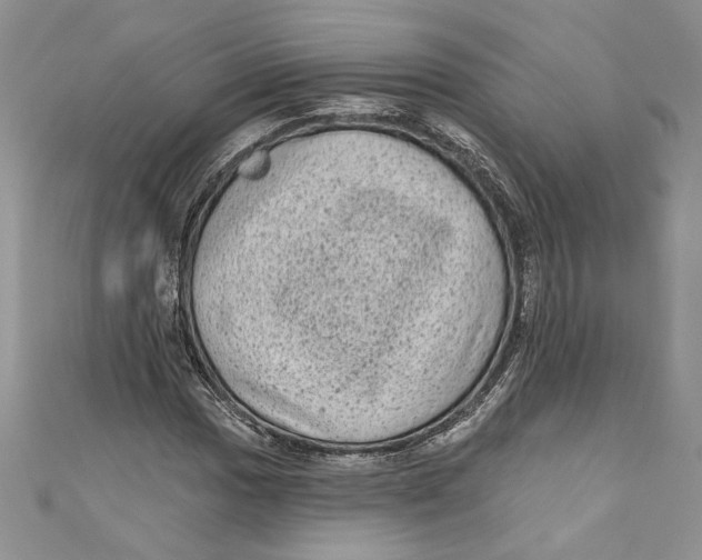 X0000111051017200907161401