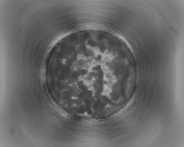 X0000111051019200907161401