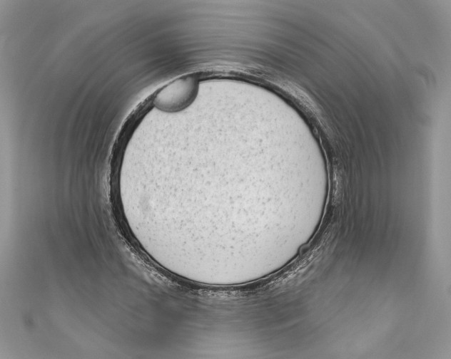 X0000111051020200907161401