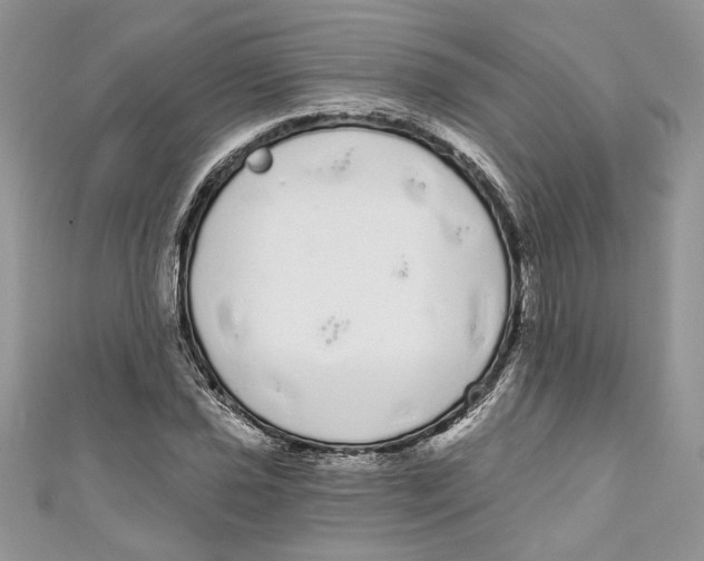 X0000111051021200907161401