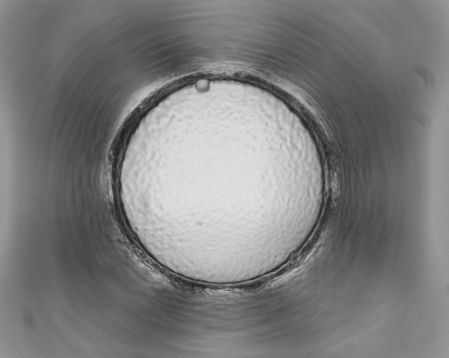 X0000111051022200907161401