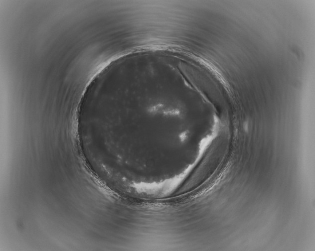 X0000111051023200907161401