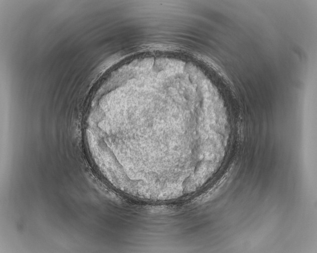 X0000111051025200907161401